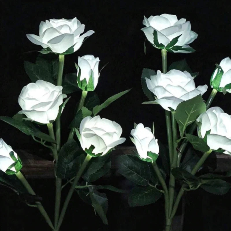 LUMARO Everbloom