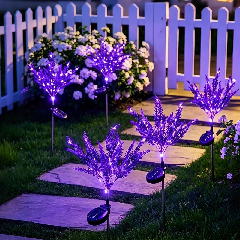 LUMARO Everbloom