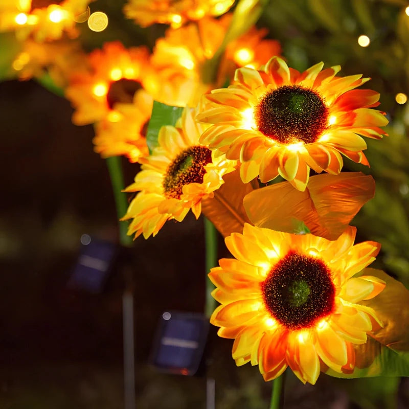 LUMARO Everbloom