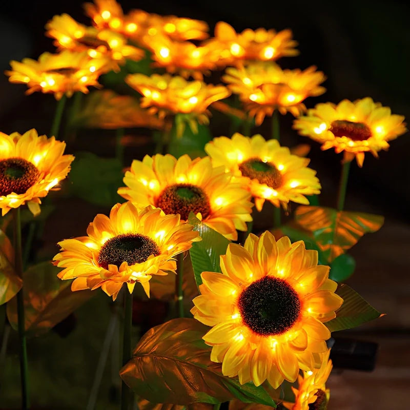 LUMARO Everbloom
