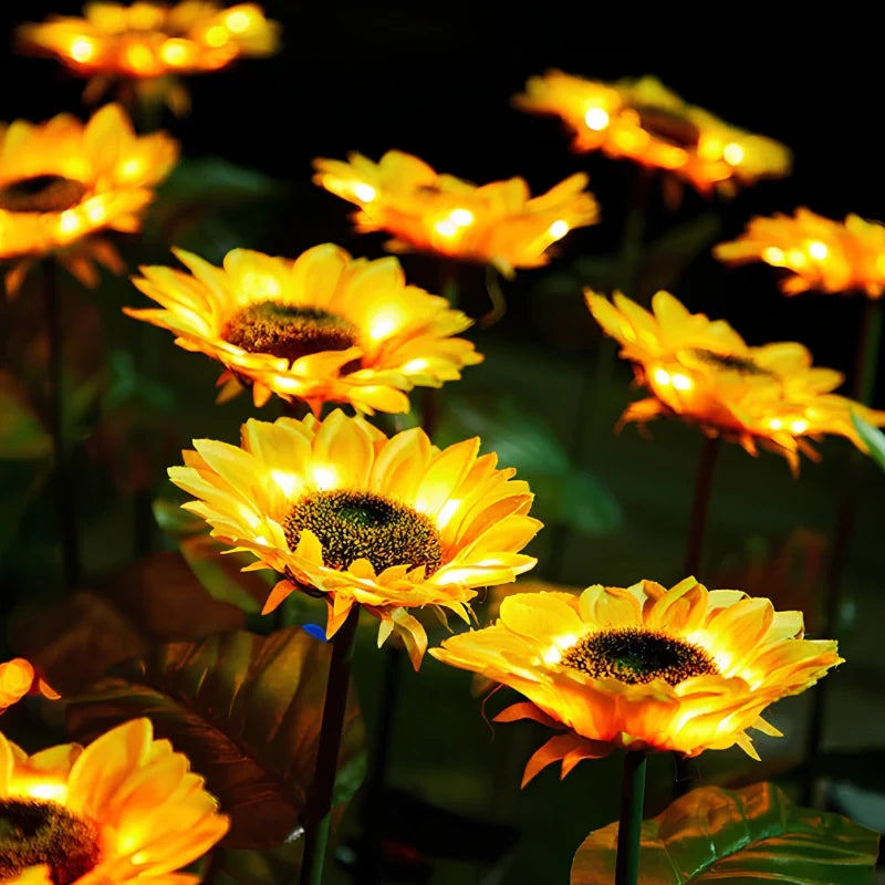 LUMARO Everbloom