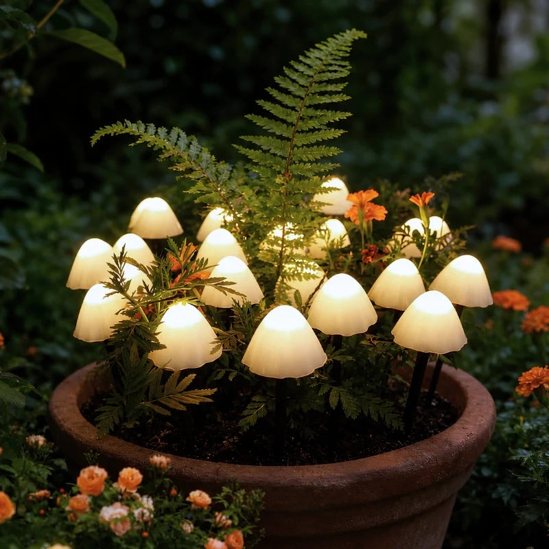 LUMARO MoonlitMushrooms