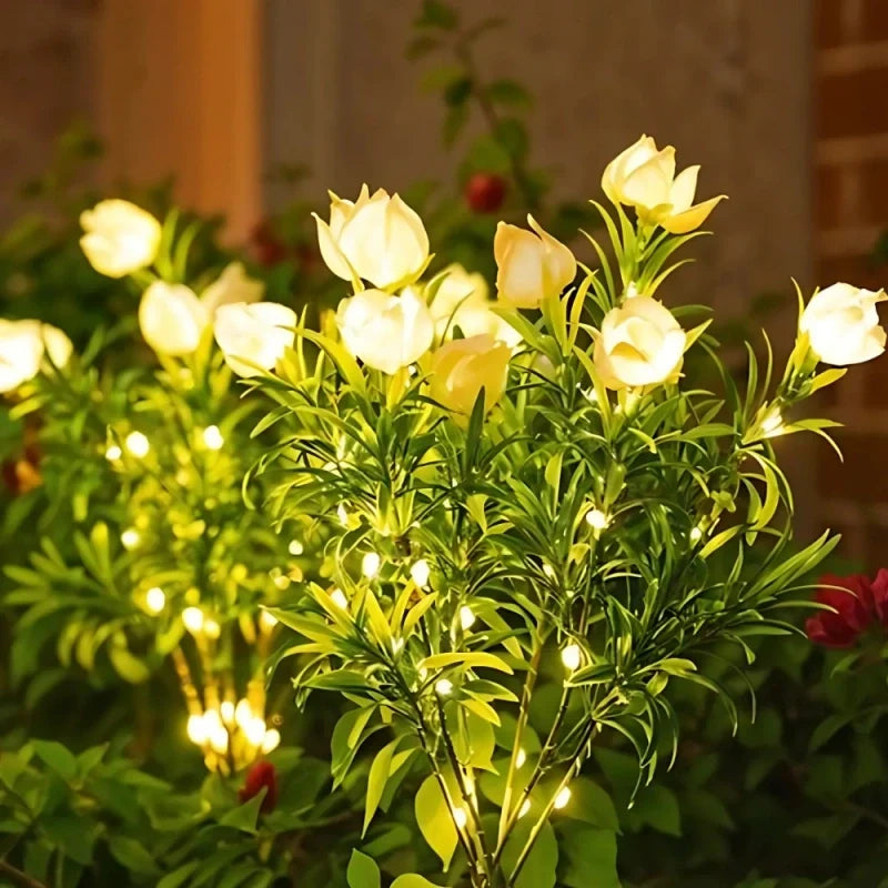 LUMARO Everbloom