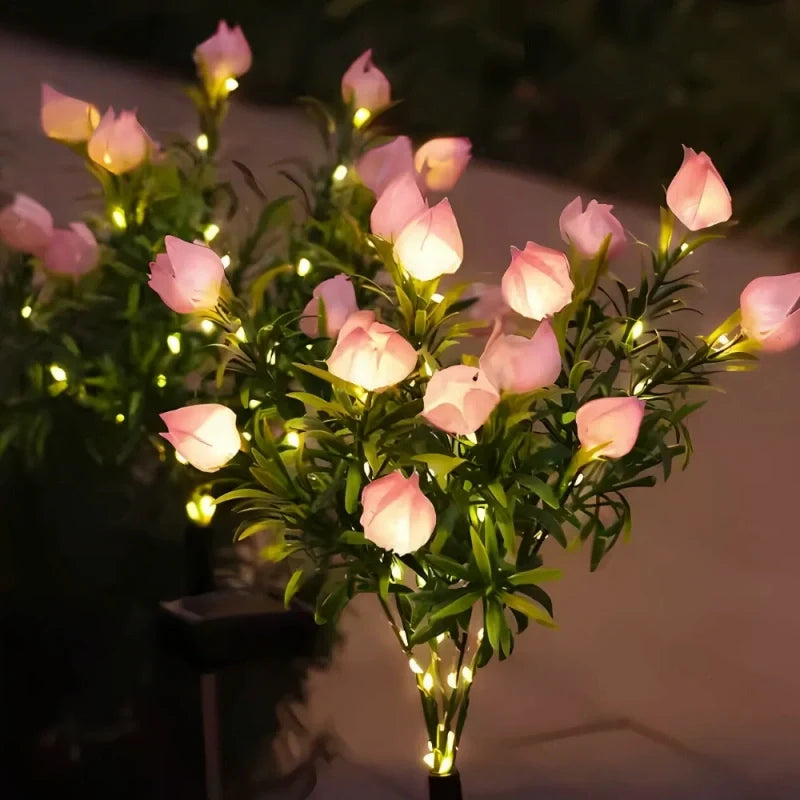 LUMARO Everbloom