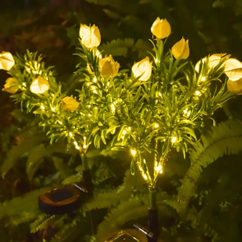 LUMARO Everbloom