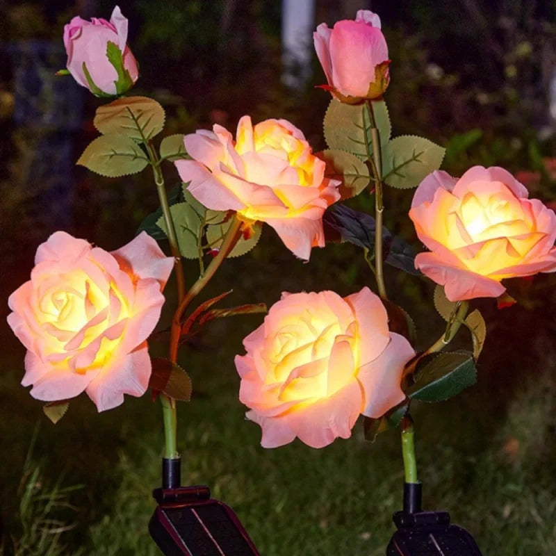 LUMARO Everbloom