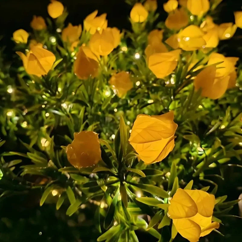 LUMARO Everbloom