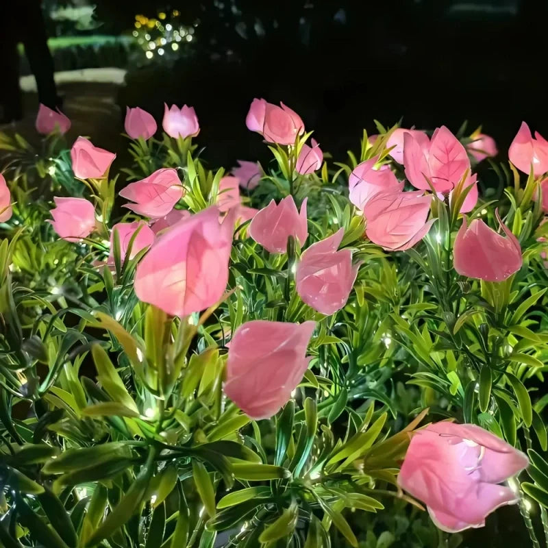 LUMARO Everbloom