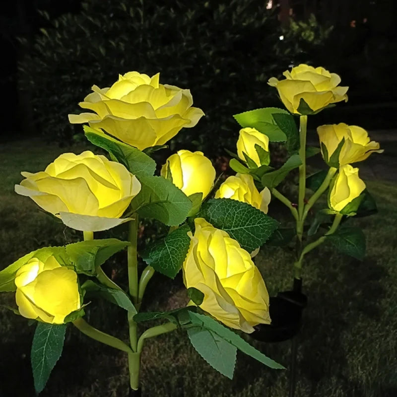 LUMARO Everbloom