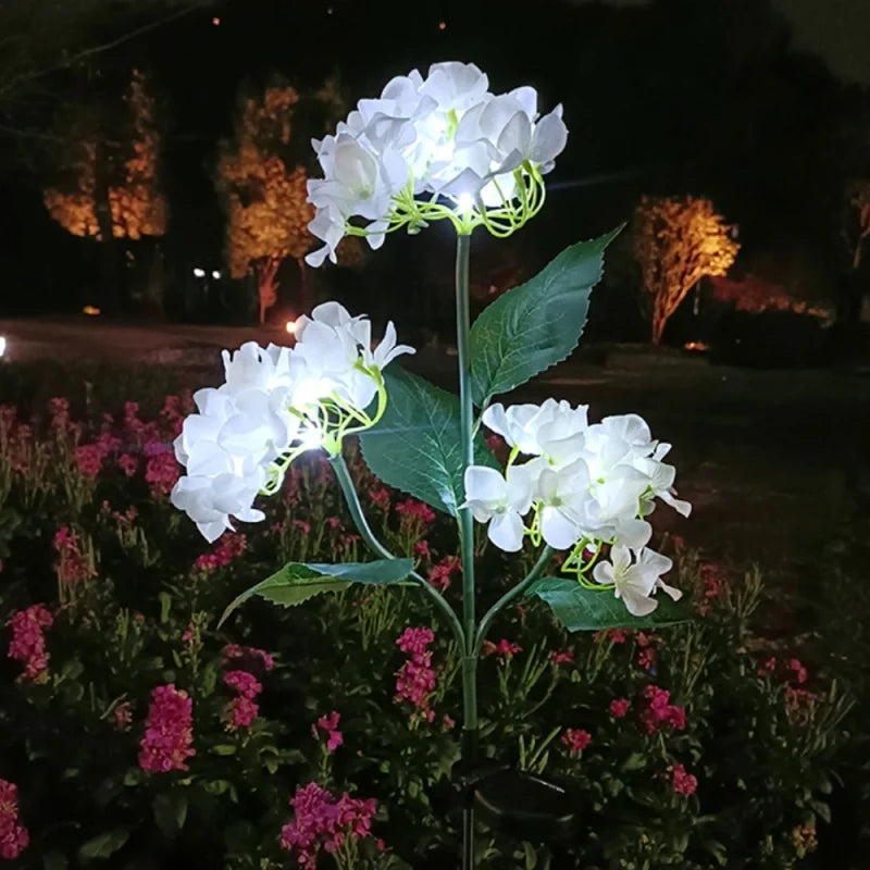 LUMARO Everbloom
