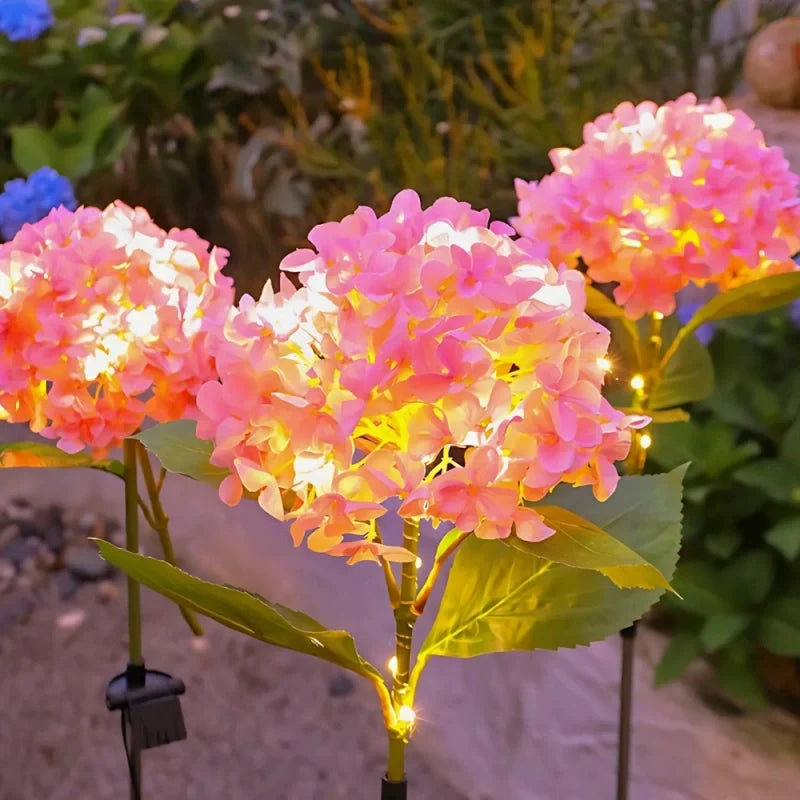 LUMARO Everbloom