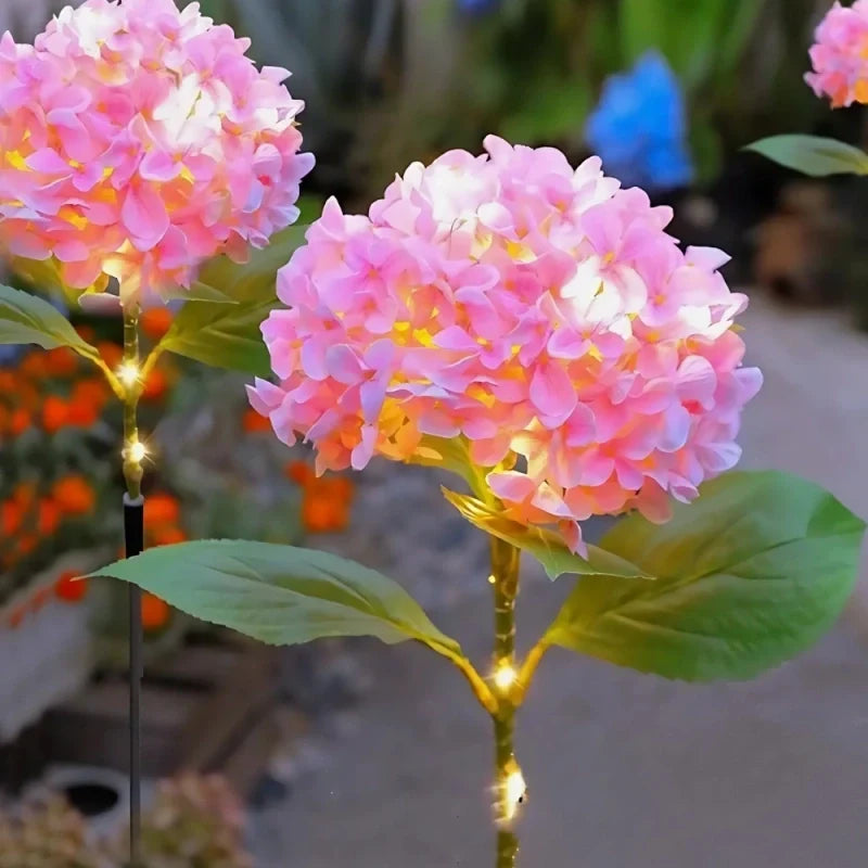 LUMARO Everbloom