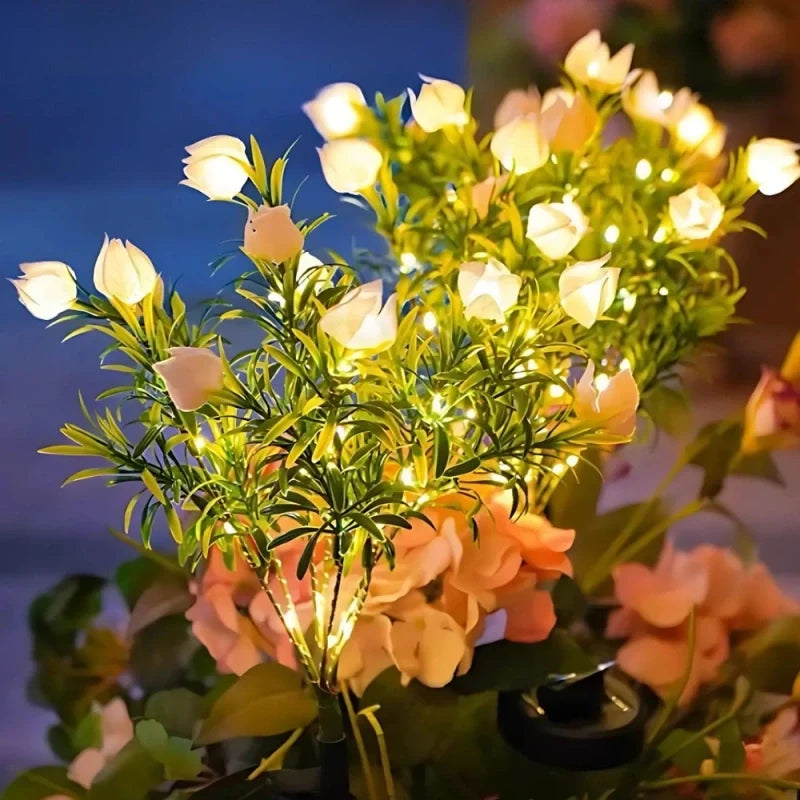 LUMARO Everbloom
