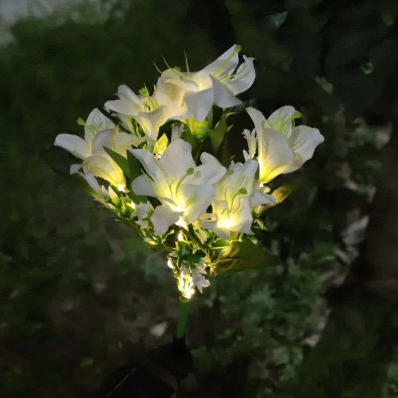 LUMARO Everbloom