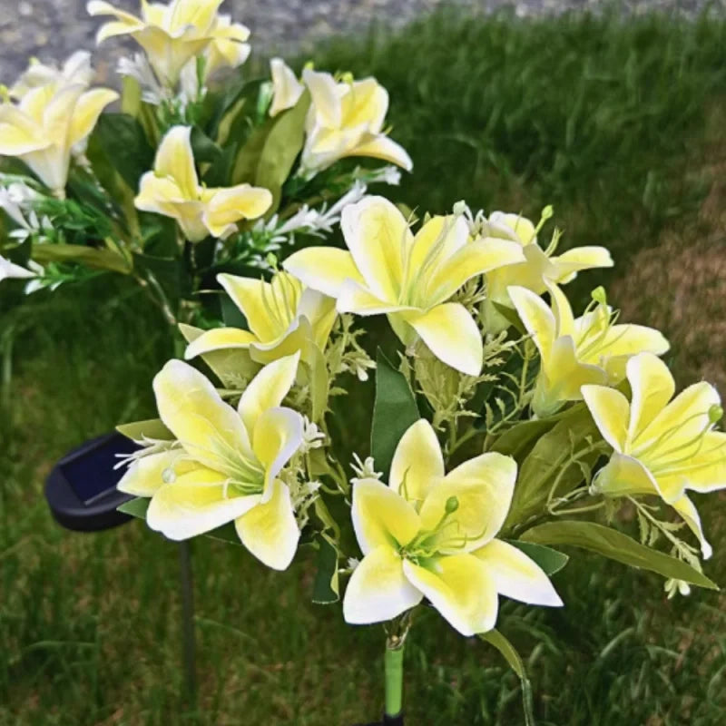 LUMARO Everbloom