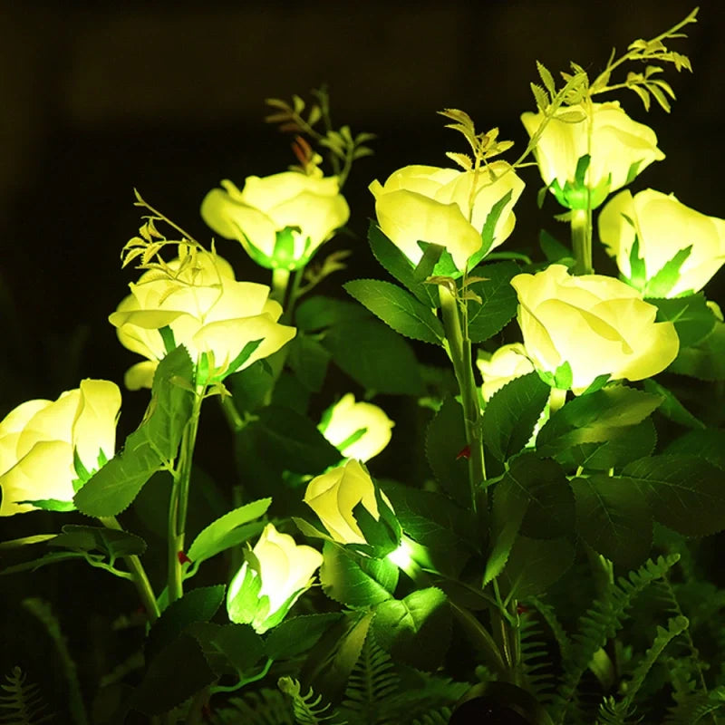 LUMARO Everbloom