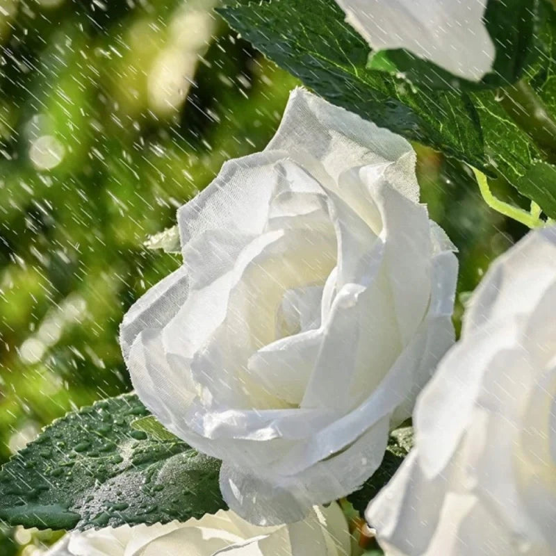 LUMARO Everbloom