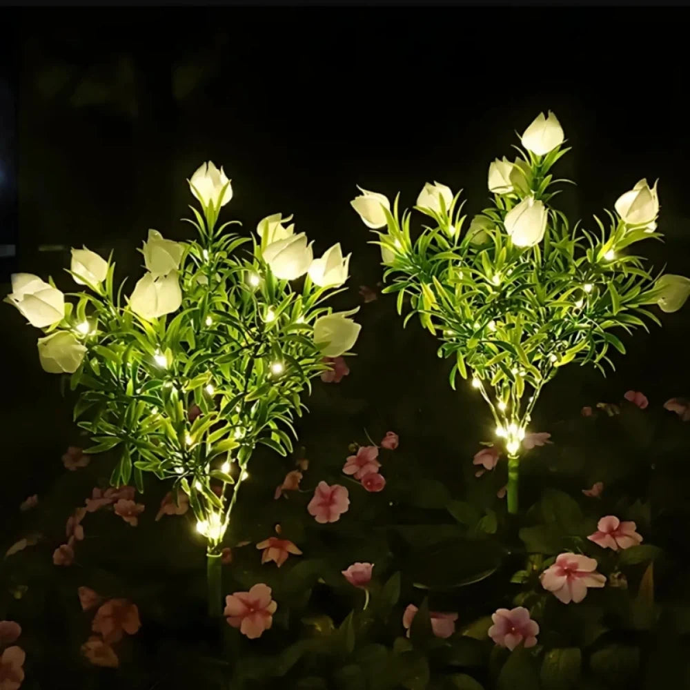 LUMARO Everbloom