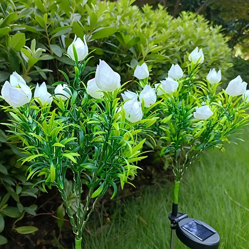 LUMARO Everbloom