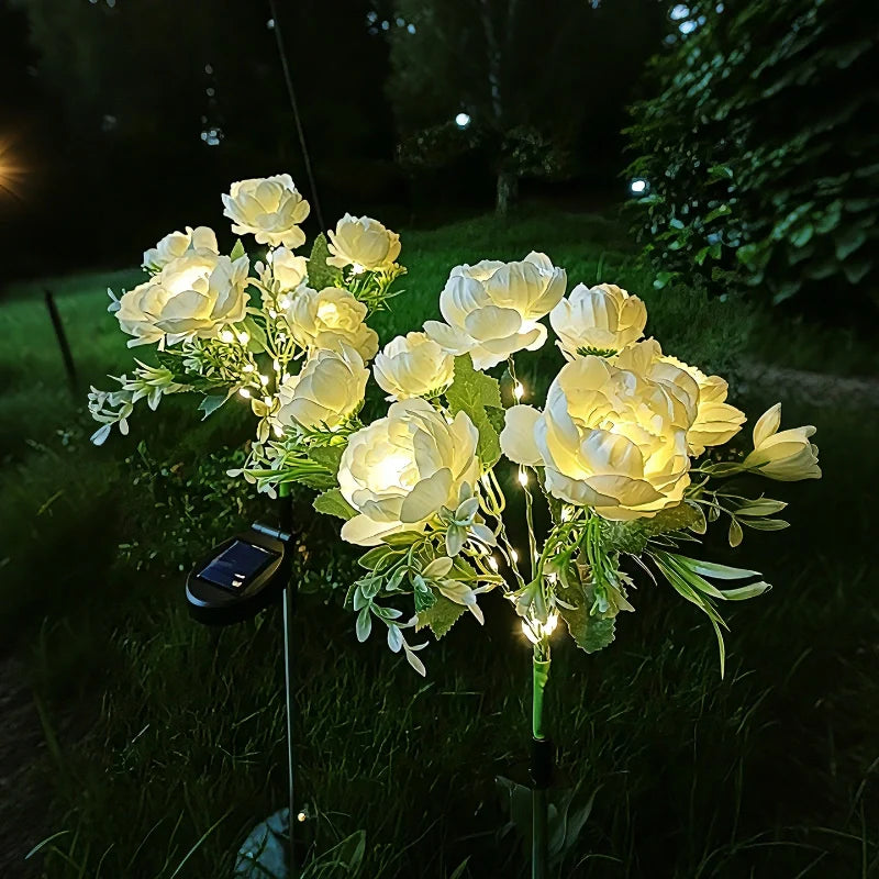 LUMARO Everbloom