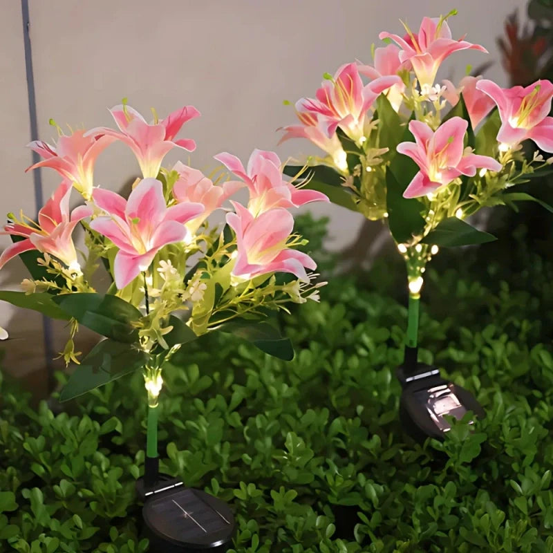 LUMARO Everbloom