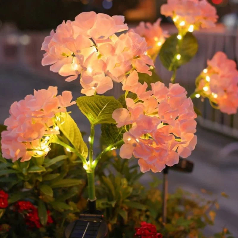 LUMARO Everbloom