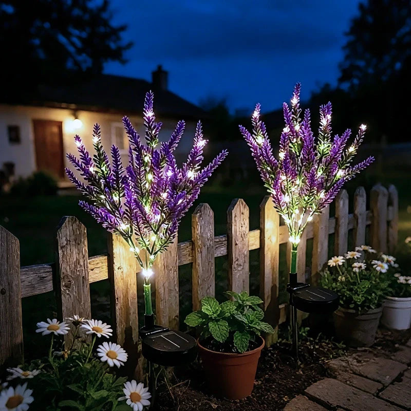 LUMARO Everbloom