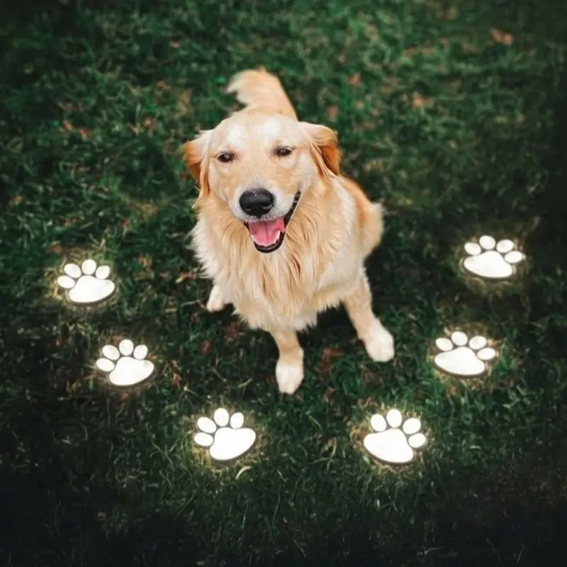LUMARO PawGlow